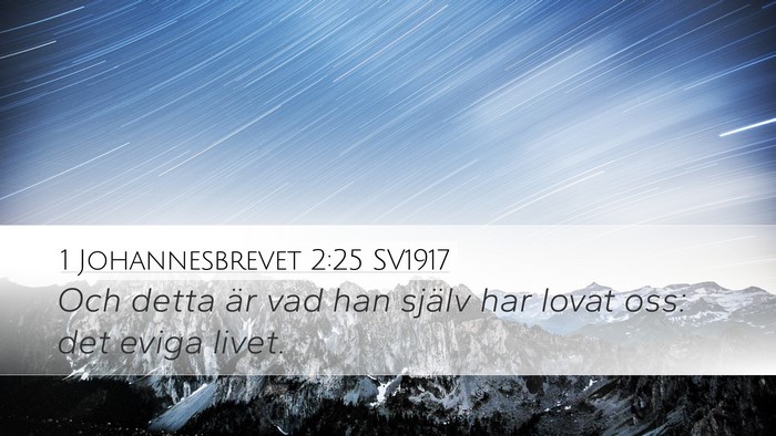 1 Johannesbrevet 2:25 SV1917 Bible Verse Image