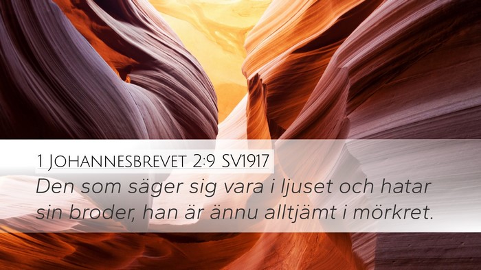 1 Johannesbrevet 2:9 SV1917 Bible Verse Image