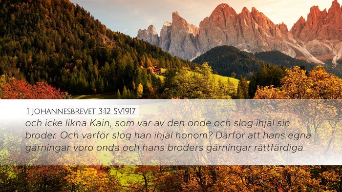 1 Johannesbrevet 3:12 SV1917 Bible Verse Image