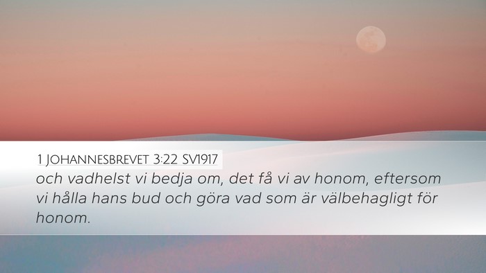 1 Johannesbrevet 3:22 SV1917 Bible Verse Image