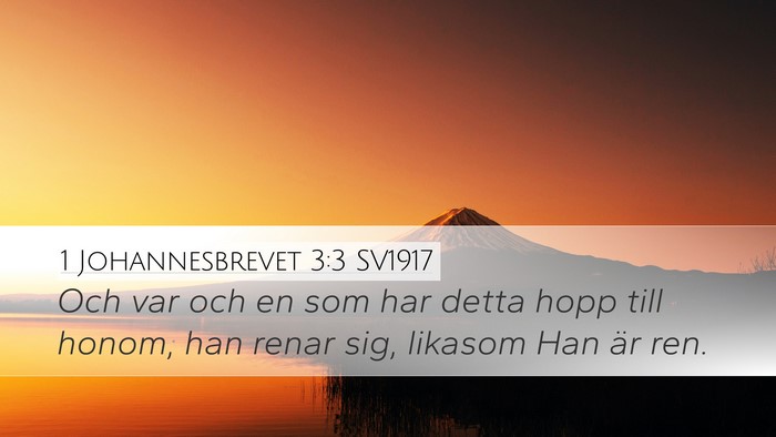 1 Johannesbrevet 3:3 SV1917 Bible Verse Image