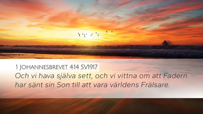 1 Johannesbrevet 4:14 SV1917 Bible Verse Image