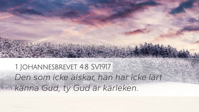 1 Johannesbrevet 4:8 SV1917 Bible Verse Image