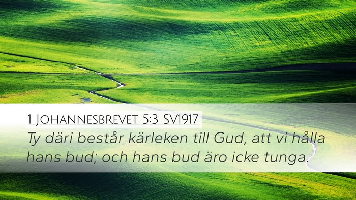 1 Johannesbrevet 5:3 SV1917 Bible Verse Image