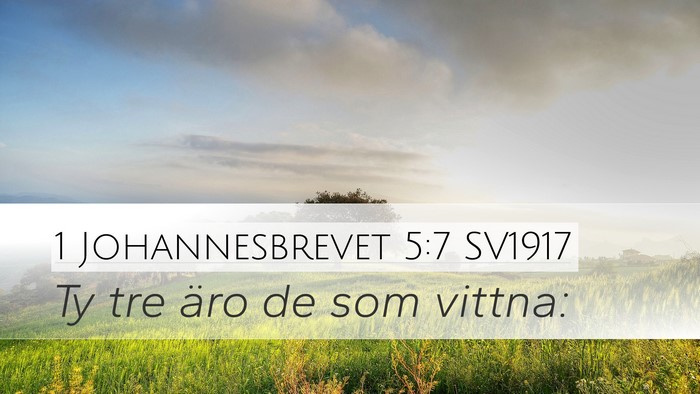 1 Johannesbrevet 5:7 SV1917 Desktop Wallpaper - Ty tre äro de som - Desktop Bible Verse Wallpaper