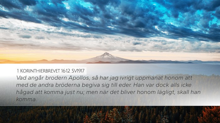 1 Korinthierbrevet 16:12 SV1917 Bible Verse Image