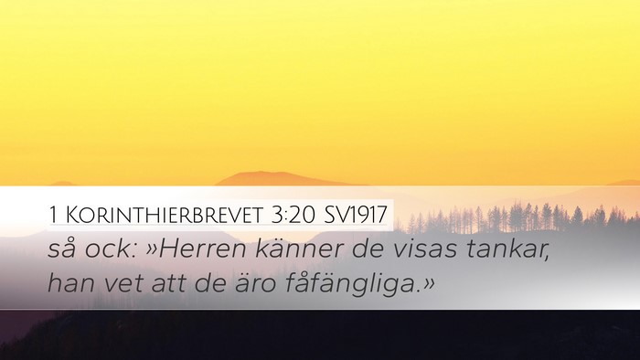 1 Korinthierbrevet 3:20 SV1917 Bible Verse Image