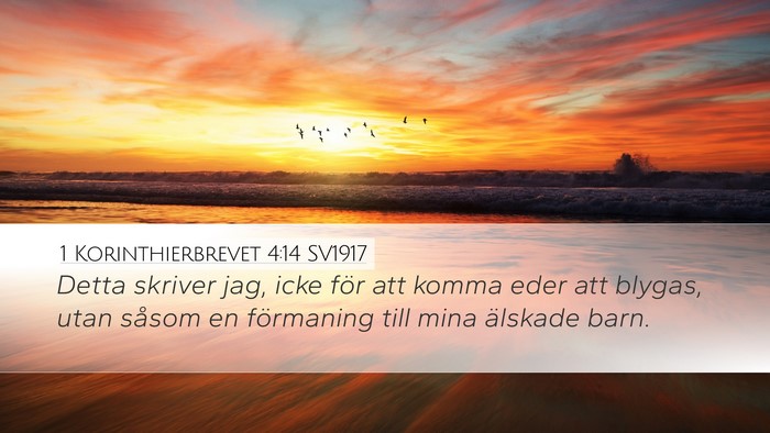 1 Korinthierbrevet 4:14 SV1917 Bible Verse Image