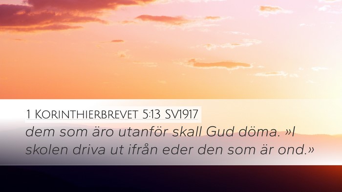1 Korinthierbrevet 5:13 SV1917 Bible Verse Image