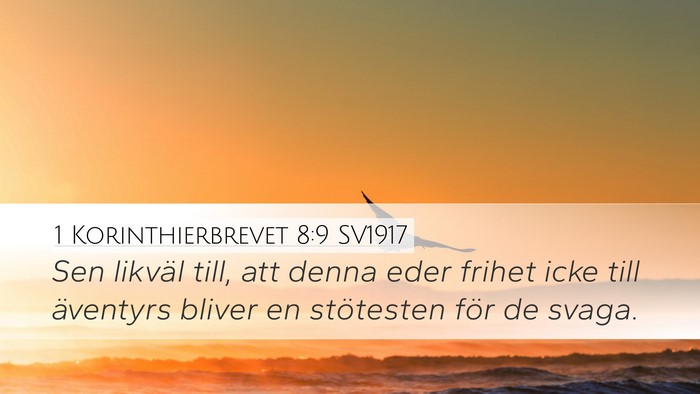 1 Korinthierbrevet 8:9 SV1917 Bible Verse Image