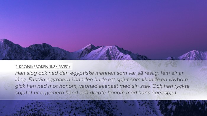 1 Krönikeboken 11:23 SV1917 Bible Verse Image