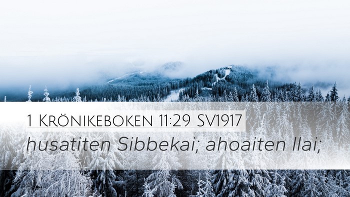 1 Krönikeboken 11:29 SV1917 Bible Verse Image