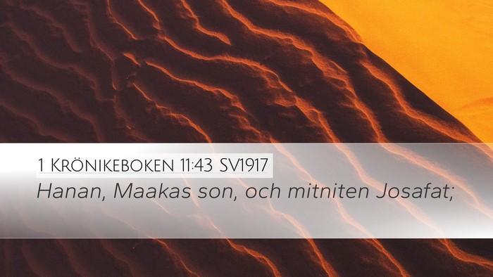1 Krönikeboken 11:43 SV1917 Desktop Wallpaper - Hanan, Maakas son, och mitniten - Desktop Bible Verse Wallpaper