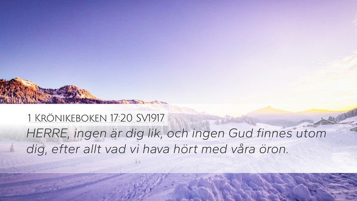 1 Krönikeboken 17:20 SV1917 Bible Verse Image