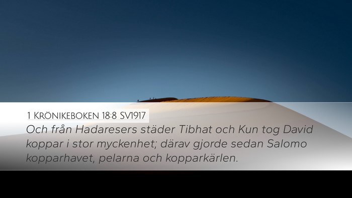1 Krönikeboken 18:8 SV1917 Bible Verse Image