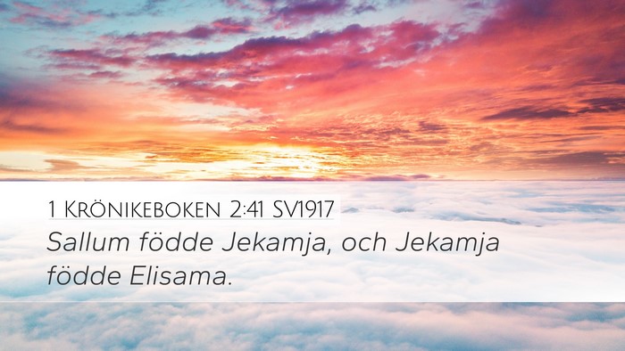 1 Krönikeboken 2:41 SV1917 Desktop Wallpaper - Sallum födde Jekamja, och Jekamja födde - Desktop Bible Verse Wallpaper