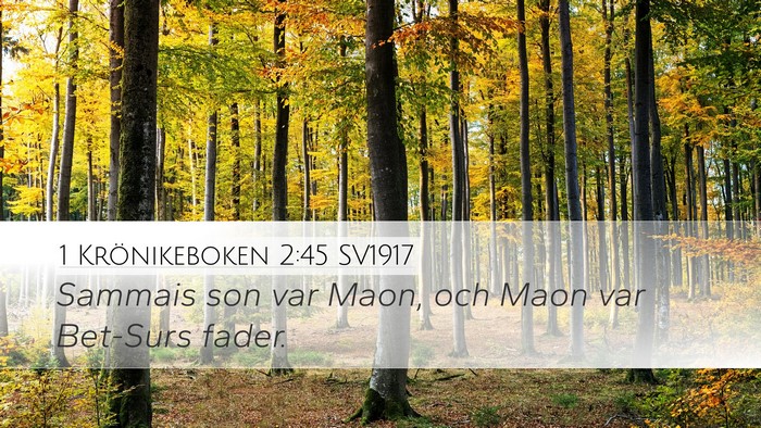 1 Krönikeboken 2:45 SV1917 Bible Verse Image