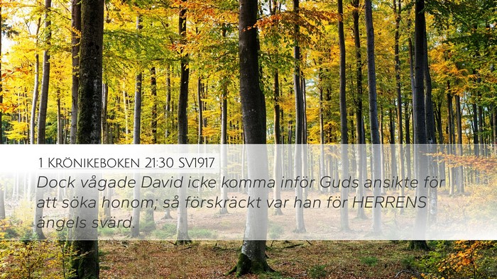 1 Krönikeboken 21:30 SV1917 Desktop Wallpaper - Dock vågade David icke komma inför Guds ansikte - Desktop Bible Verse Wallpaper