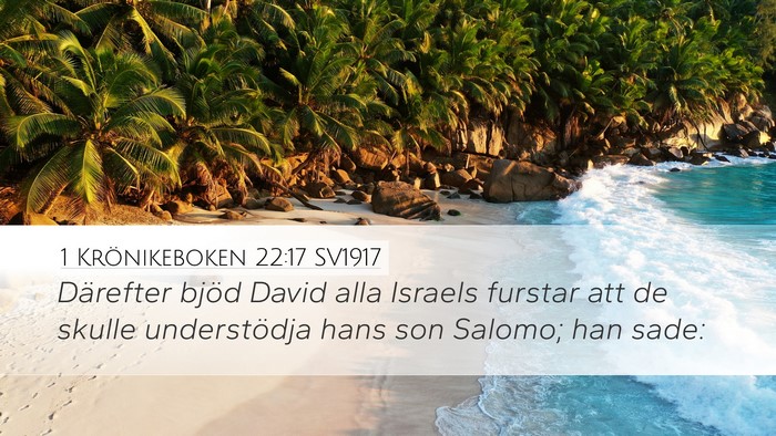 1 Krönikeboken 22:17 SV1917 Bible Verse Image
