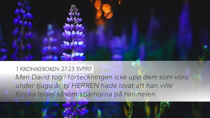1 Krönikeboken 27:23 SV1917 Bible Verse Image
