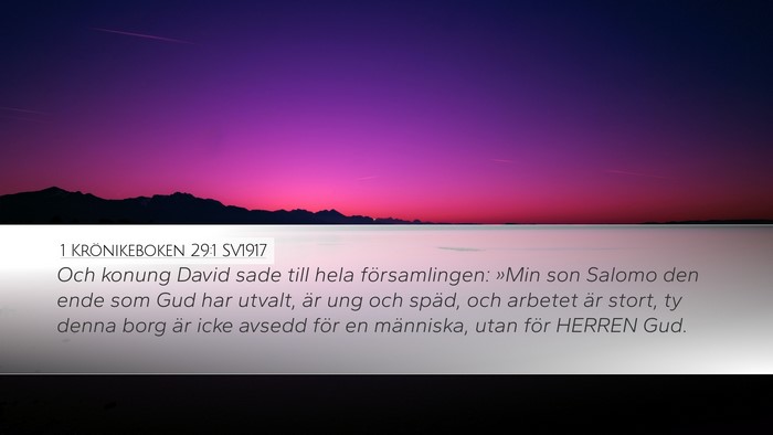 1 Krönikeboken 29:1 SV1917 Bible Verse Image
