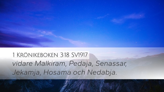 1 Krönikeboken 3:18 SV1917 Desktop Wallpaper - vidare Malkiram, Pedaja, Senassar, Jekamja, - Desktop Bible Verse Wallpaper