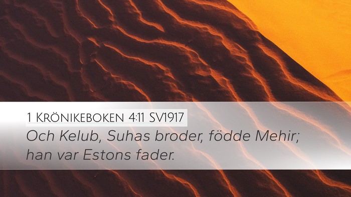 1 Krönikeboken 4:11 SV1917 Desktop Wallpaper - Och Kelub, Suhas broder, födde Mehir; han var - Desktop Bible Verse Wallpaper