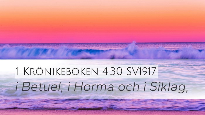1 Krönikeboken 4:30 SV1917 Bible Verse Image