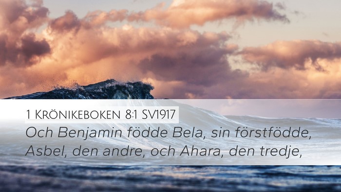 1 Krönikeboken 8:1 SV1917 Bible Verse Image