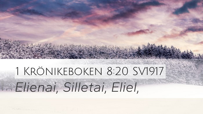 1 Krönikeboken 8:20 SV1917 Desktop Wallpaper - Elienai, Silletai, - Desktop Bible Verse Wallpaper