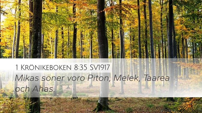 1 Krönikeboken 8:35 SV1917 Bible Verse Image