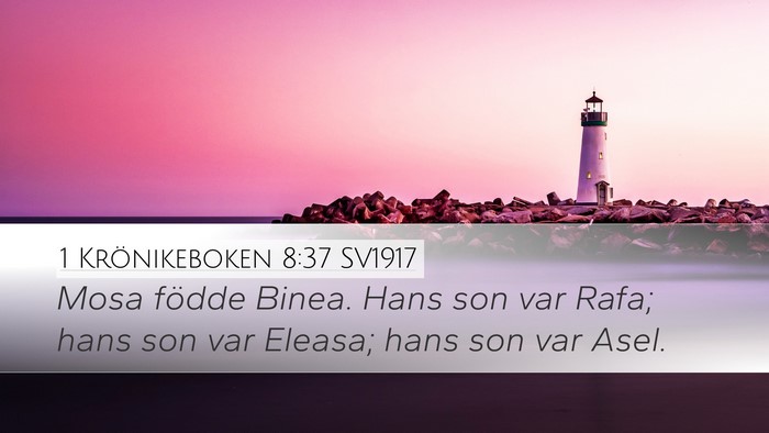 1 Krönikeboken 8:37 SV1917 Bible Verse Image