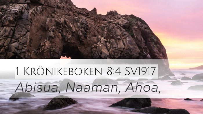 1 Krönikeboken 8:4 SV1917 Bible Verse Image