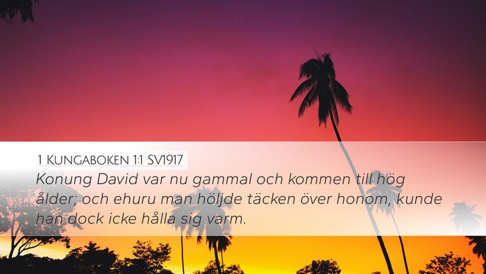 1 Kungaboken 1:1 SV1917 Desktop Wallpaper - Konung David var nu gammal och kommen till hög - Desktop Bible Verse Wallpaper