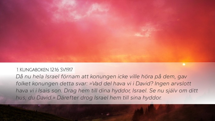 1 Kungaboken 12:16 SV1917 Bible Verse Image