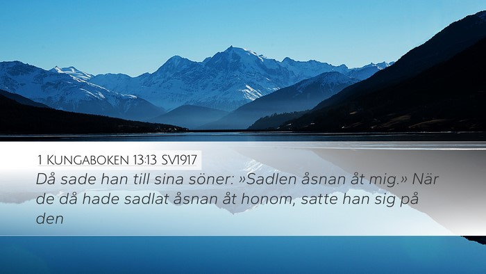 1 Kungaboken 13:13 SV1917 Bible Verse Image