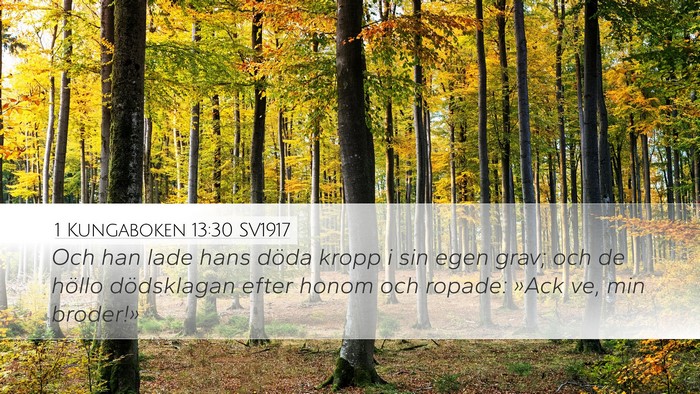 1 Kungaboken 13:30 SV1917 Bible Verse Image
