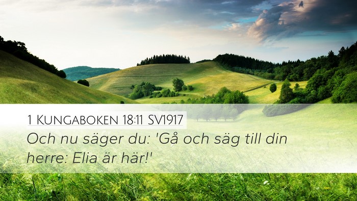 1 Kungaboken 18:11 SV1917 Bible Verse Image