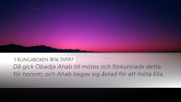 1 Kungaboken 18:16 SV1917 Desktop Wallpaper - Då gick Obadja Ahab till mötes och förkunnade - Desktop Bible Verse Wallpaper