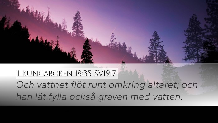 1 Kungaboken 18:35 SV1917 Desktop Wallpaper - Och vattnet flöt runt omkring altaret; och han - Desktop Bible Verse Wallpaper