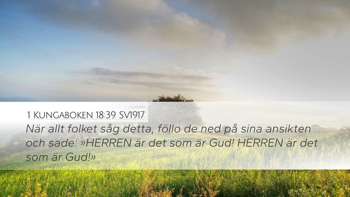 1 Kungaboken 18:39 SV1917 Bible Verse Image