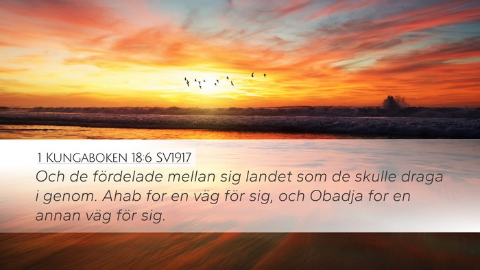 1 Kungaboken 18:6 SV1917 Desktop Wallpaper - Och de fördelade mellan sig landet som de skulle - Desktop Bible Verse Wallpaper