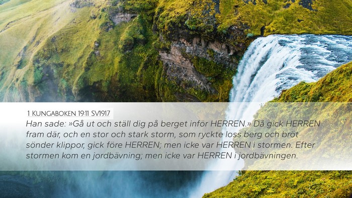 1 Kungaboken 19:11 SV1917 Bible Verse Image