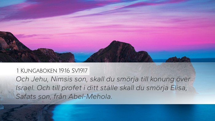 1 Kungaboken 19:16 SV1917 Bible Verse Image