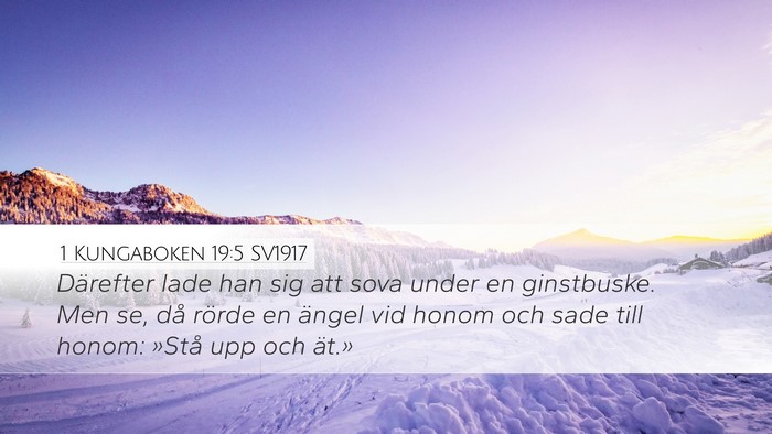 1 Kungaboken 19:5 SV1917 Bible Verse Image