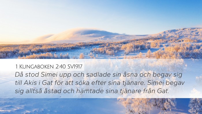1 Kungaboken 2:40 SV1917 Desktop Wallpaper - Då stod Simei upp och sadlade sin åsna och - Desktop Bible Verse Wallpaper