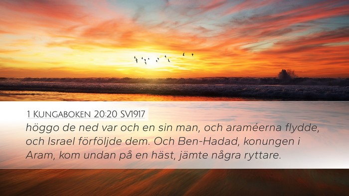 1 Kungaboken 20:20 SV1917 Bible Verse Image