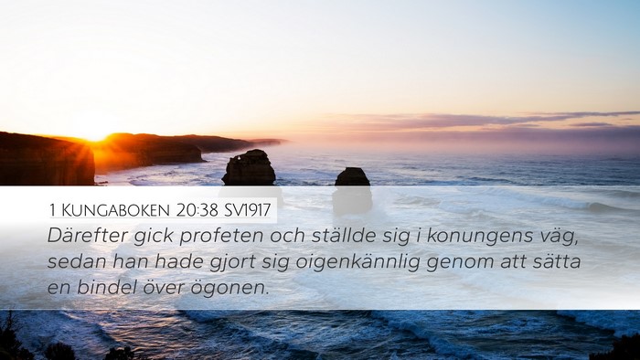 1 Kungaboken 20:38 SV1917 Bible Verse Image