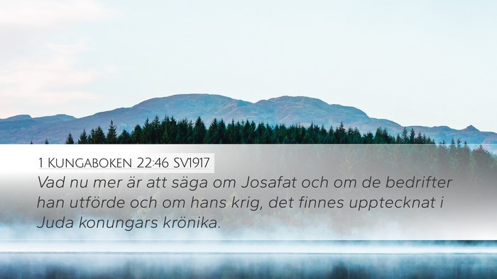 1 Kungaboken 22:46 SV1917 Bible Verse Image