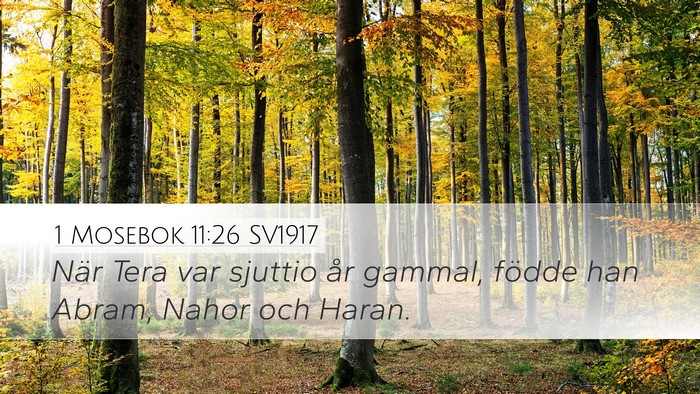 1 Mosebok 11:26 SV1917 Desktop Wallpaper - När Tera var sjuttio år gammal, födde han - Desktop Bible Verse Wallpaper